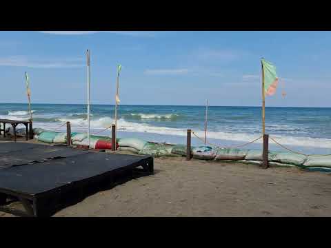 Morning walk in the beach ⛱️  #nature #fyp