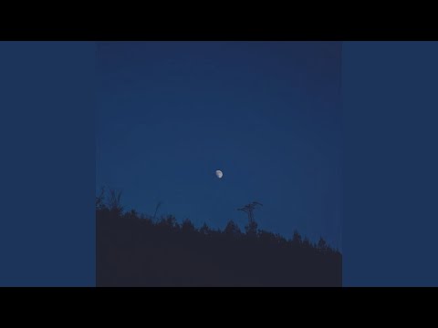 Never Meant to Belong - Bleach