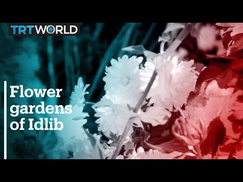 Initiative encourages displaced Syrians to grow gardens