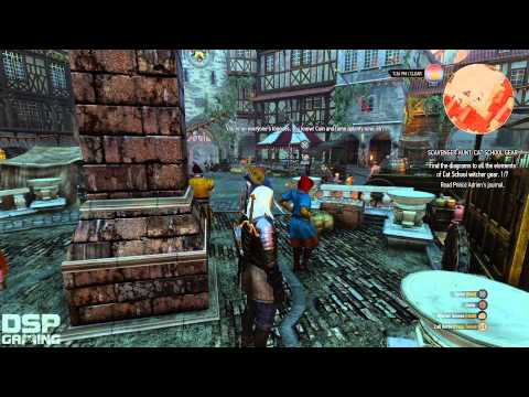 The Witcher 3 (PS4) playthrough pt80 - The Fake Witcher/The Witcher Dance!