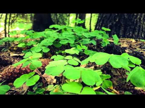 Jacek Kaczmarski - Nasza klasa [cover]