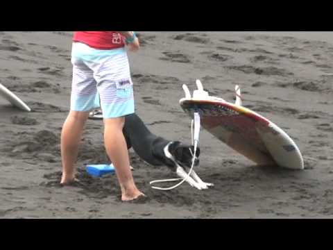 Billabong ISA World Surfing Games: Day 4 Women's - TransWorld SURF