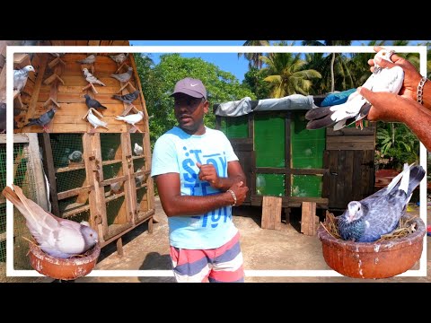 ලඟදිම ටුනමන්ට් එකක වැඩ පෙන්නනවා 🇮🇳🕊️🔥