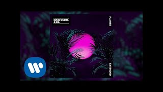 David Guetta &amp; Sia - Flames (Extended)