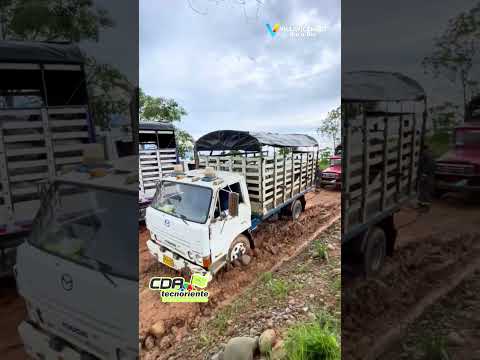 Reclaman por el mal estado de la vía a Uribe