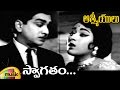 ANR Hits Swagatham Telugu Video Song Aathmeeyulu Movie Video Songs Vanisri Mango Music