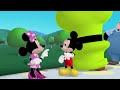 Goofy S Hat