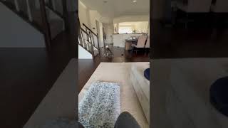 Video preview image #1 Mutt Puppy For Sale in Rockville, MD, USA