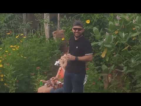 fiestas patronales del varal pueblo nuevo Cordoba pueblo nuevo en línea