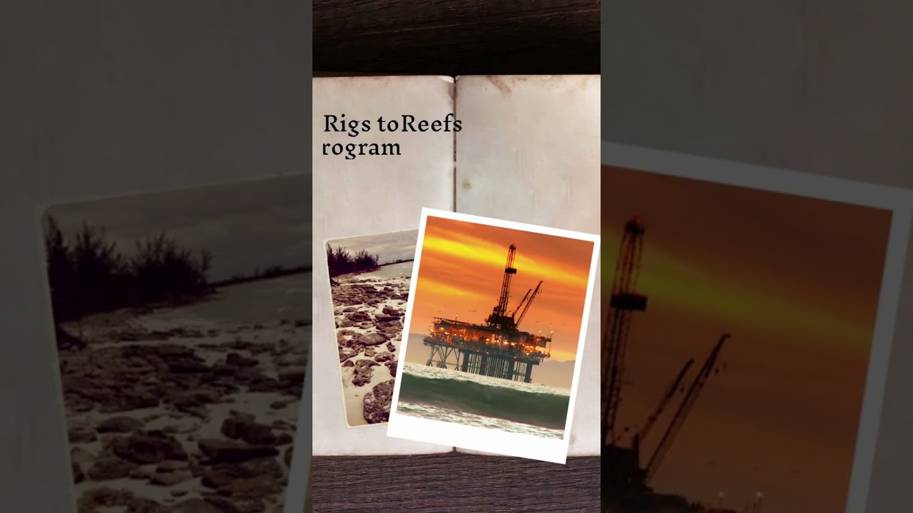 3 Ocean Saving Projects | Eureka Education System