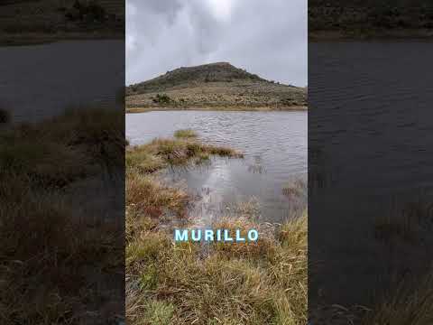 ¿Así es el camino a Murillo, Tolima? 🏔️ #viajandoporcolombia