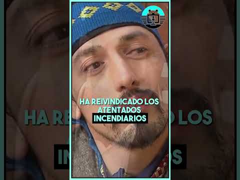 Chubut vincula incendios en la Patagonia con la reaparición de Jones Huala