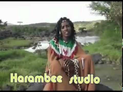 OROMIYAA BY WAARITEE FURII - YouTube.flv