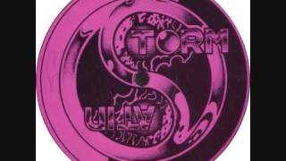 Satin Storm - What Do You Do