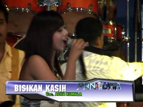 ALBUM PANTURA 050507