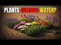 No Water No Problem How To Build A Drought Resistant Garden That THRIVES Gardening