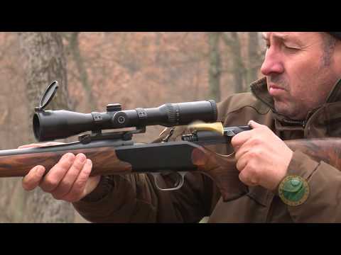 download lagu mp3 mp4 Wild Boar Bulgaria, download lagu Wild Boar Bulgaria gratis, unduh video klip Wild Boar Bulgaria