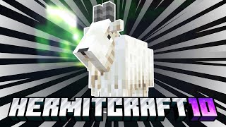 VintageBeef's recent Youtube video thumbnail