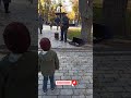 Мариинский парк. Саксофон. Куда пойти в Киеве с ребенком? [2021] 4K