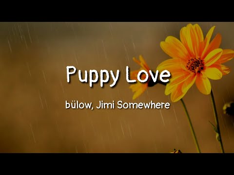 bülow, Jimi Somewhere - Puppy Love (lyrics)