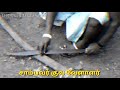 Paraiyar Mass Whatsapp Status Sambavar Kula Velalar