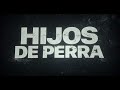 Strays Latin American Spanish