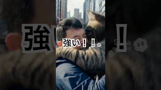 巨大化してネコと相撲#cat#funny #特撮