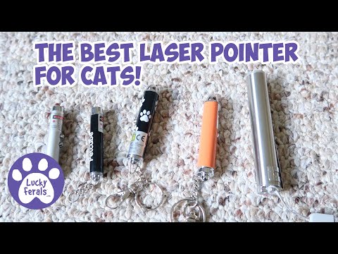 The Best Laser Pointer Ever For Cats * S4 E50 * Cat Product Review