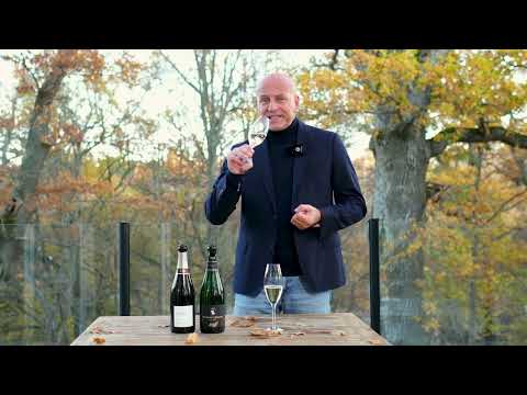 A day in a Champagne Experts life 7.0 - Special Champagnes