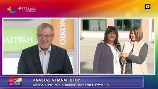 ΟΙΝΟΤΟΥΡΙΣΜΟΣ ΣΤΟ ΟΙΝΟΠΟΙΕΙΟ ΤΥΡΝΑΒΟΥ_ΑΝΑΣΤΑΣΙΑ ΠΑΝΑΓΙΩΤΟΥ 30 10 2025 ΟΙΝΟΤΟΥΡΙΣΜΟΣ ΣΤΟ ΟΙΝΟΠΟΙΕΙΟ ΤΥΡΝΑΒΟΥ_ΑΝΑΣΤΑΣΙΑ ΠΑΝΑΓΙΩΤΟΥ 30 10 2025