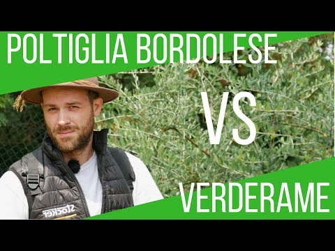 POLTIGLIA BORDOLESE O VERDERAME? COSA USARE? DIFFERENZE? USO STOCKER 15L | ORTO E GIARDINAGGIO