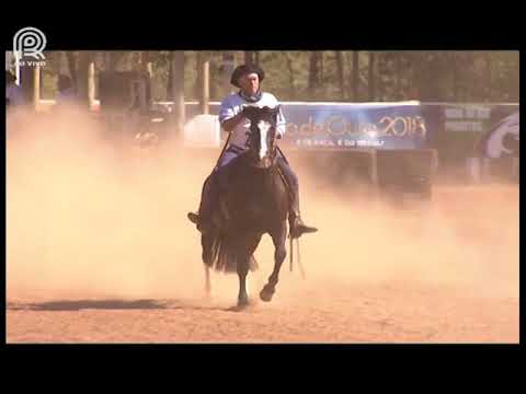 Classificatória Sapucaia (RJ) – 8° lugar fêmeas – Yasmin do Amanhecer (Prova: Bayard/Sarmento)