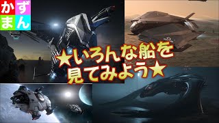#16 お船観賞会★色々な船を見せてもらおう！【STARCITIZEN-スターシチズン】
