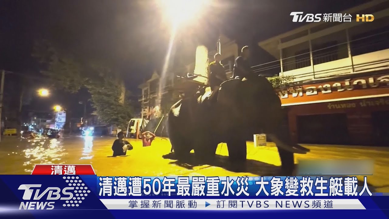 清邁洪水 大象變救生艇、陸客搭軍用卡車撤離