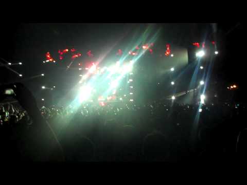 Steve Angello EDC 2011