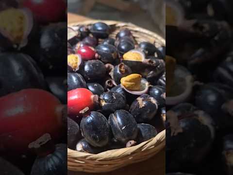 Este es el Guasmole de San José Tenango, Oaxaca. #Oaxaca #comidaoaxaqueña
