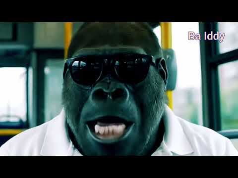 Ba iddy on a journey ~Expecting some share 