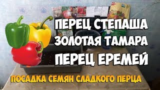Уход за перцем Тамара