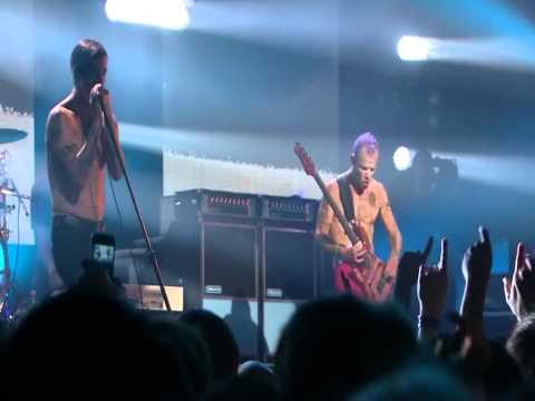 Red Hot Chili Peppers - Did I Let You Know - Live in Köln 2011 [HD]