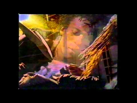 Hugh Harris : Rhythm of Life