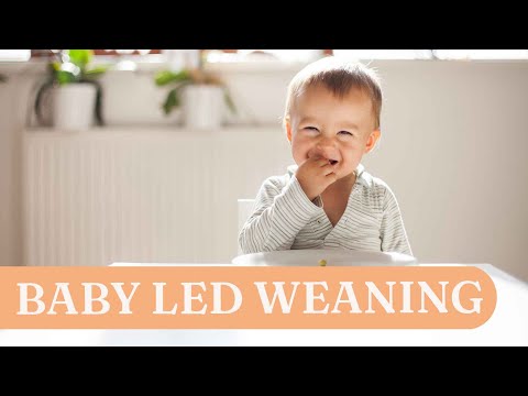 Baby led weaning (BLW): Vor- und Nachteile der breifreien Beikost
