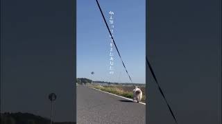 - 319(ミュージック)