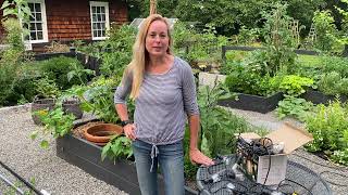 Genius Idea for Hanging String Lights (from Quntis) in your 