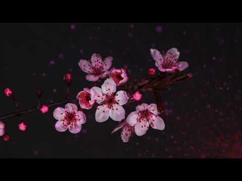 One Love Million Mellows - Püha Hetk (Ly Tolberg,Arne Lauri)