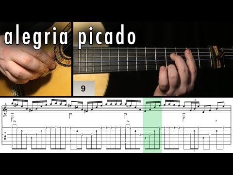 Flamenco Guitar 102 - 29 Alegria Picado