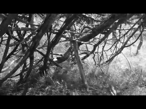 LAUSCHER 'Irrwisch' SCHINDEL REMIX