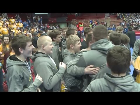 Team wrestling state finals: Highlights and reaction