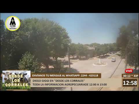 Radio  Las Flores - AM 1210 - FM Cóndor 89.7 - EN VIVO -