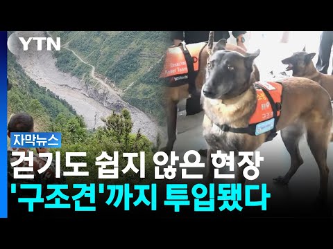 헬기·드론도 못 찾았다...이번엔 구조견·전문장비 총동원 [자막뉴스] / YTN