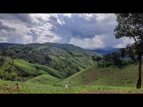 ศูนย์พัฒนาโครงการหลวงห้วยน้ำขุ่น